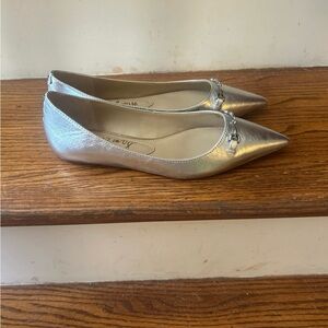 Sam Edelman Metallic Silver Pointed Flats